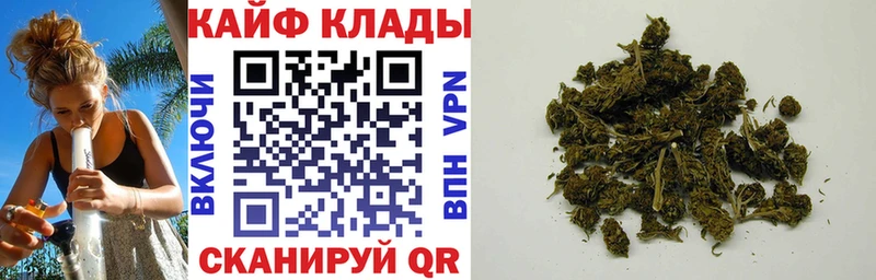  Cocaine Нефтекумск