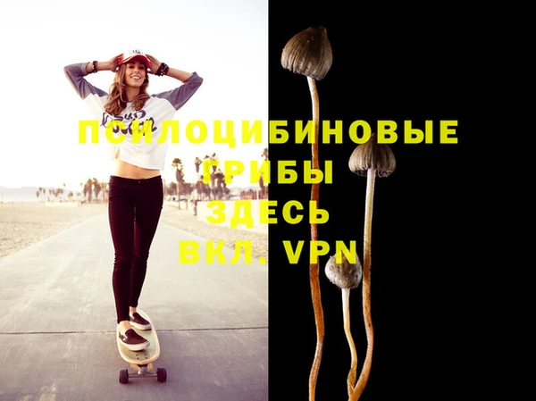 альфа пвп VHQ Гусиноозёрск