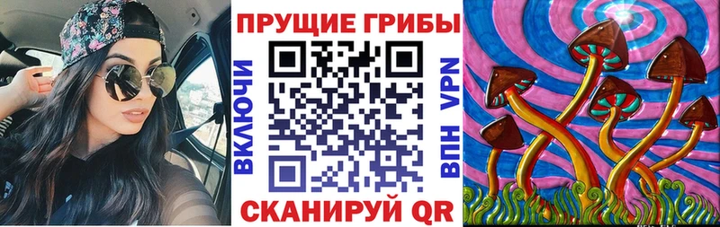 Псилоцибиновые грибы прущие грибы  Нефтекумск 