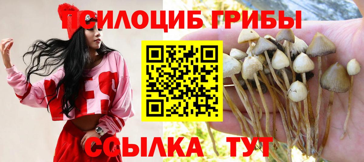 Галлюциногенные грибы мухоморы Нефтекумск