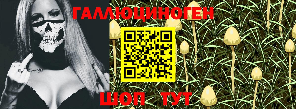 Нефтекумск  Галлюциногенные грибы мицелий  Галлюциногенные грибы MAGIC MUSHROOMS  Вход с VPN 