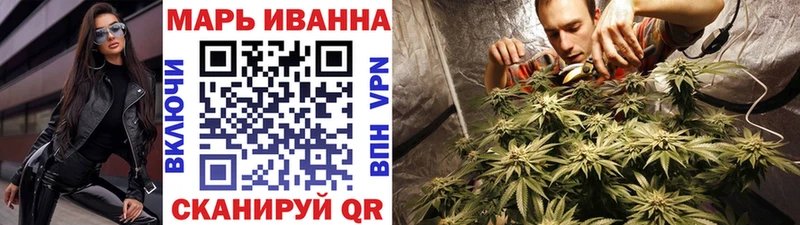 как найти наркотики  Нефтекумск  Бошки Шишки сатива 